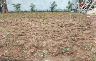 ABIDJAN COCODY : Maison à vendre – 2 PLATEAUX MACACI
