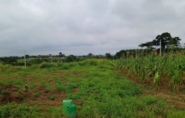 ALÉPÉ : Terrain à vendre 400m2