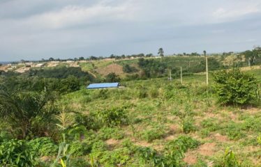 ALÉPÉ : Terrain à vendre 400m2