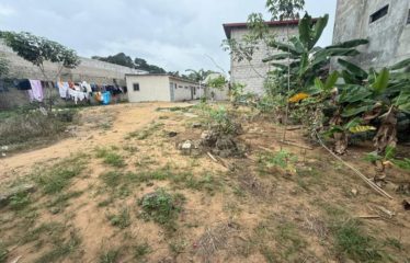 ABIDJAN COCODY : Terrain 700 m² AVEC ACD à vendre Riviera Abatta