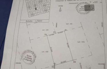 ABIDJAN COCODY : Terrain 700 m² AVEC ACD à vendre Riviera Abatta