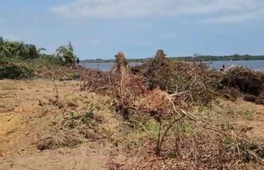 ABIDJAN SONGON : Terrain de 20 000 m2 à vendre