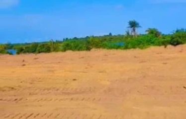 ABIDJAN SONGON : Terrain de 20 000 m2 à vendre