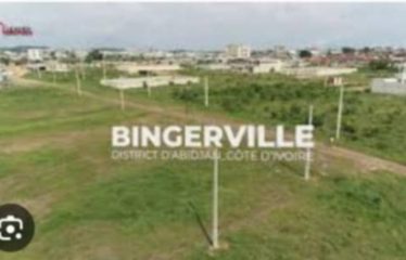 ABIDJAN BINGERVILLE : Terrains en vente approuvé