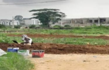 ABIDJAN ANGRÉ : Terrains 400 m2 à vendre