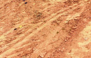 ABIDJAN ANGRÉ : Lots de terrains 400 m2 à vendre