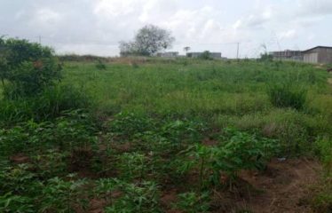 BINGERVILLE : Terrain en vente 400 m2