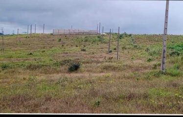 GRAND-BASSAM : Vente de Terrain sur la nouvelle autoroute