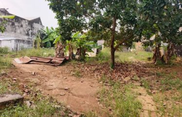 ABIDJAN COCODY : Terrain 1000 m2 à vendre – Derrière l’ENA