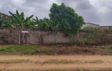 ABIDJAN COCODY : Terrain 599 m2 à vendre