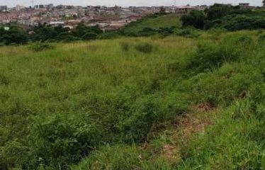 ABIDJAN BINGERVILLE : Terrain de 3 hectares avec ACD à vendre