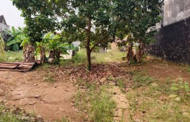 ABIDJAN COCODY : Terrain à vendre 1000 m2