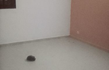 ABIDJAN COCODY : Beau studio américain à louer