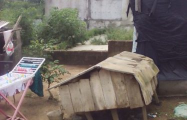 ABIDJAN COCODY : Vente de terrain 300m2