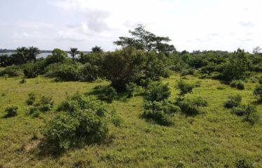 YAMOUSSOUKRO : Terrain 400 m2 à vendre