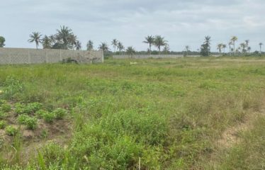 YAMOUSSOUKRO : Terrain 400 m2 à vendre