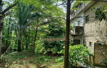 ABIDJAN COCODY : Terrain 2000 m2 à Cocody centre en vente