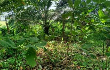 ABIDJAN COCODY : Terrain 2000 m2 à Cocody centre en vente