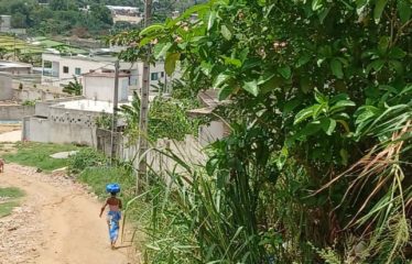 BONOUA : Terrain 1000 m2 à vendre – ACD