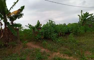 BONOUA : Terrain 1000 m2 à vendre – ACD