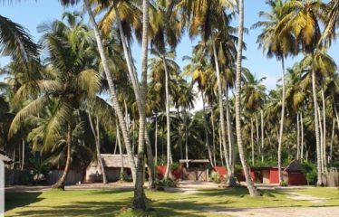 ASSINIE : Fond de commerce à vendre au bord de mer