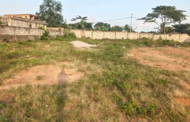 ABIDJAN COCODY : Terrain en vente à la Riviera M’badon