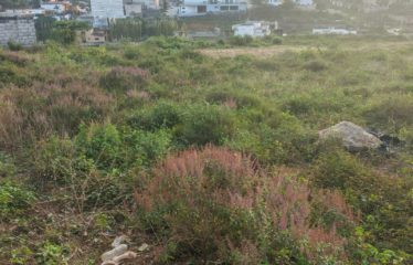 ABIDJAN COCODY : Terrain en vente à la Riviera M’badon