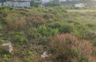 ABIDJAN COCODY : Terrain en vente à la Riviera M’badon