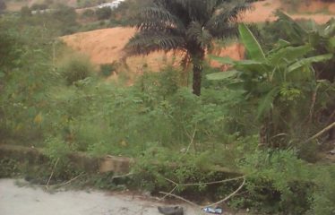 ABIDJAN ANGRÉ : Terrain à Djorobité 1 à vendre