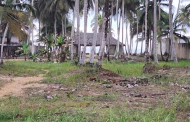 ASSINIE : Terrains en vente à Assinie-Mafia