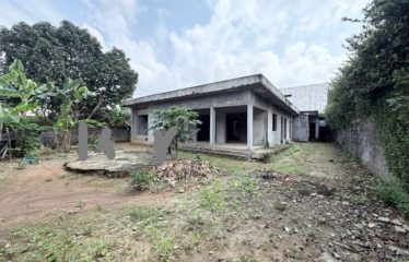 ABIDJAN COCODY : Vente terrain 800 m2