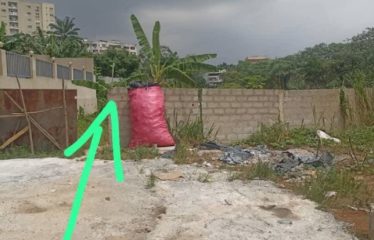 ABIDJAN COCODY : Terrain à vendre 3843 m2
