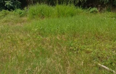 ABIDJAN COCODY : Terrain de 800 m² avec ACD à vendre