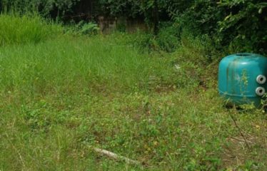 ABIDJAN COCODY : Terrain de 800 m² avec ACD à vendre