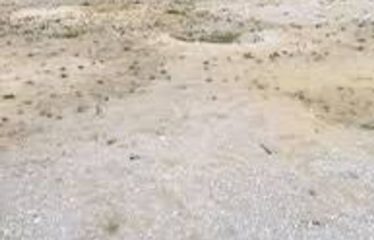 ASSINIE : Terrain 600m2 avec accès lagune à vendre