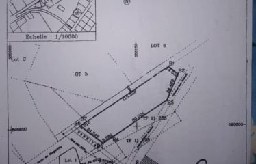 ABIDJAN COCODY : Terrain de 3843 m2 à vendre