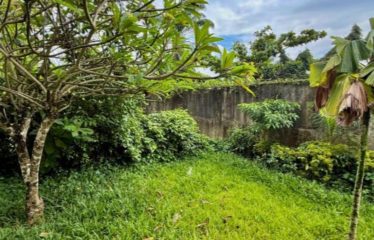 ABIDJAN PLATEAU : Appartement 3 pièces avec jardin privatif à vendre