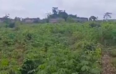 ABIDJAN SONGON : Vente de terrain 250 m² à Songon Gravier