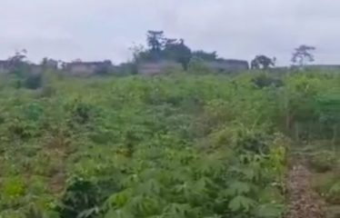 ABIDJAN SONGON : Vente de terrain 250 m² à Songon Gravier