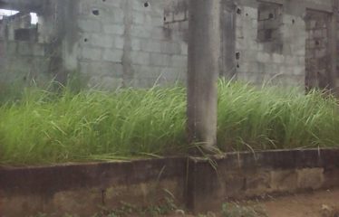 ABIDJAN ANGRÉ : Terrain de 300m2 à vendre