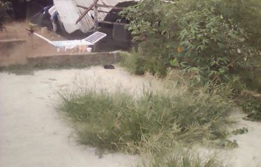 ABIDJAN ANGRÉ : Terrain de 300m2 à vendre