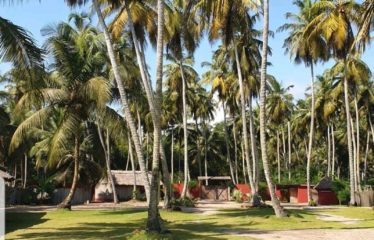 ASSINIE : Vente fond de commerce