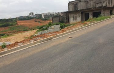 ABIDJAN ANGRÉ : Terrain 1 hectare 3000 m² à vendre