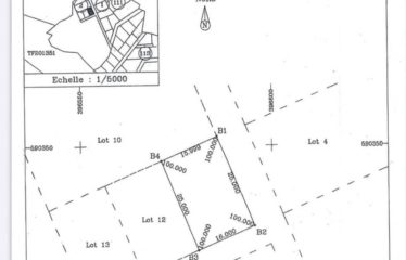 ABIDJAN COCODY : Terrain à vendre 400 m2