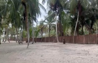 ASSINIE : Terrain en bord de mer et lagune à vendre