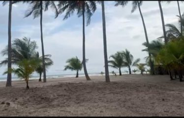 ASSINIE : Terrain en bord de mer et lagune à vendre