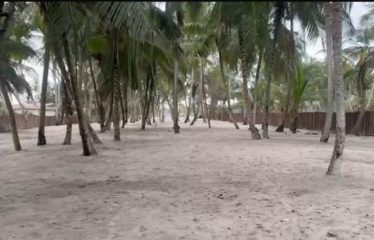 ASSINIE : Terrain en bord de mer et lagune à vendre