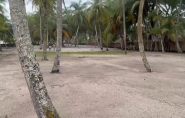 ASSINIE : Terrain en bord de mer et lagune à vendre