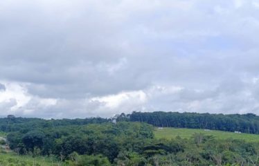 YOPOUGON : Parcelle de 30 hectares avec ACD à vendre