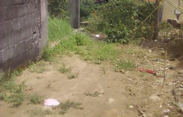 ABIDJAN ANGRÉ : Vente de terrain 300 m2